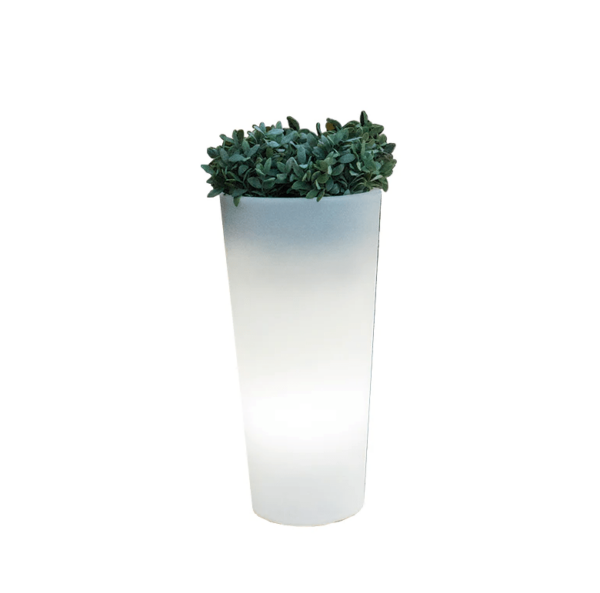 Leuchtobjekt "Ficus" 60cm – Bild 2